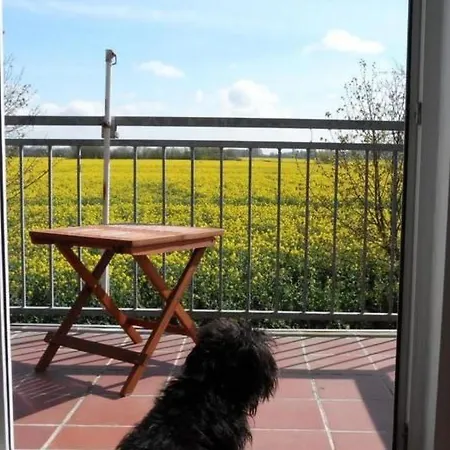 Appartement Gemuetliche In Mit Balkon By Interhome Upleward