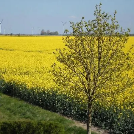 Gemuetliche In Upleward Mit Balkon By Interhome Apartamento *