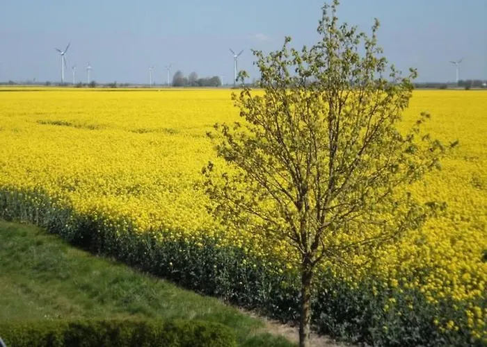 Gemuetliche In Upleward Mit Balkon By Interhome Apartamento *