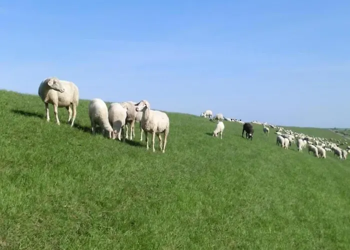 Apartamento Gemuetliche In Upleward Mit Balkon By Interhome *